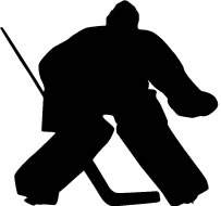 Fantasy hockey leagues